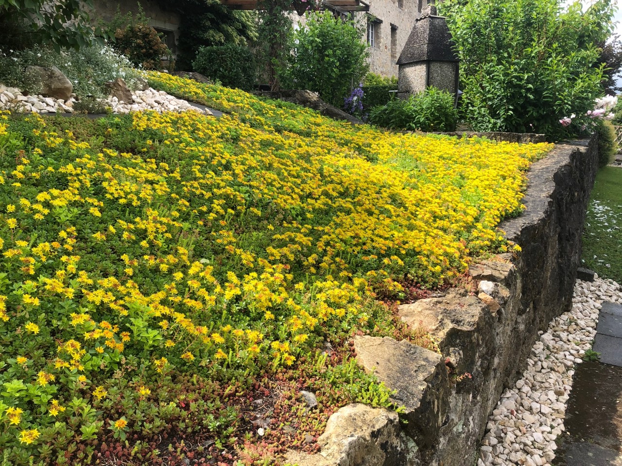 Farbenfrohes Blumenbeet Blume Blumen Farbig Natur Wiedlisbach