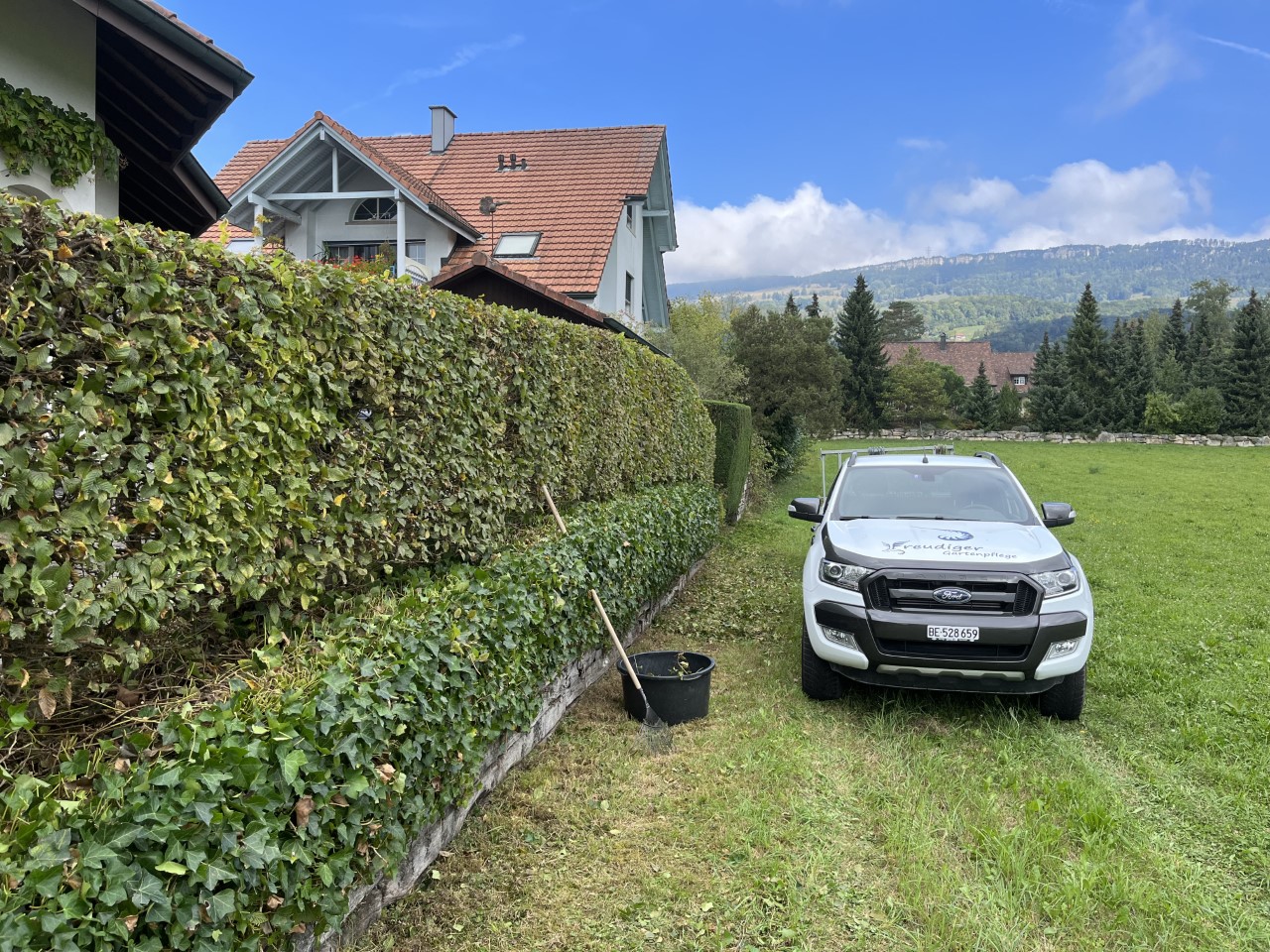 Hecke mit Gartenpflegeauto Rechen