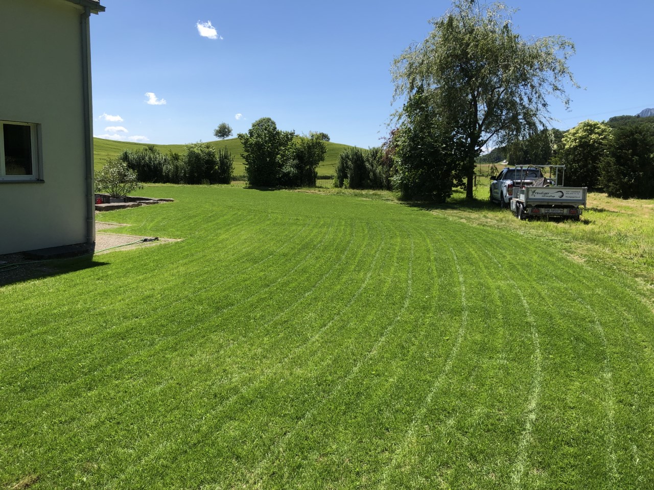 Geschnitter Rasen grün fröhlich schön Wiedlisbach