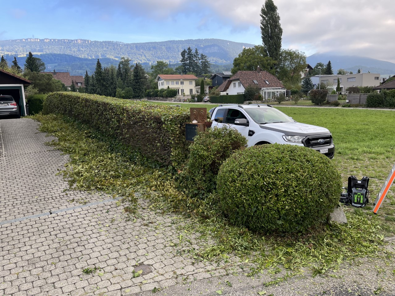 Geschnittene Hecke Wiedlisbach